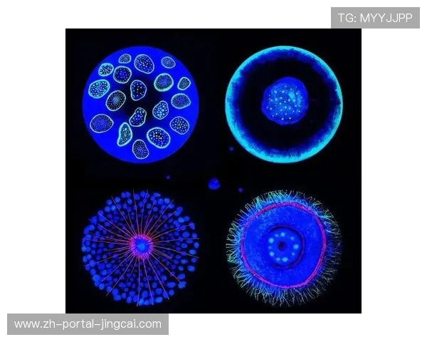 微观拍摄技术普及,赛事细节呈现维度扩充 微观拍摄技术普及,赛事细节呈现维度扩充